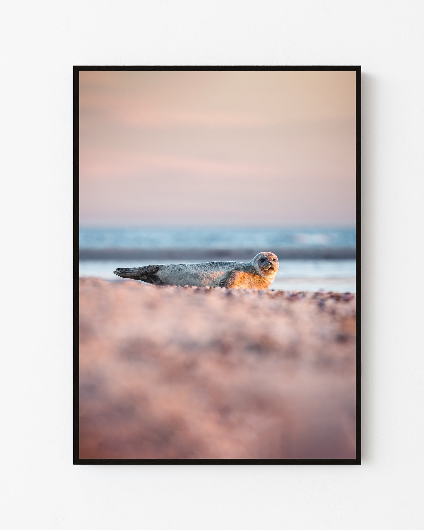 Seal, Grenen