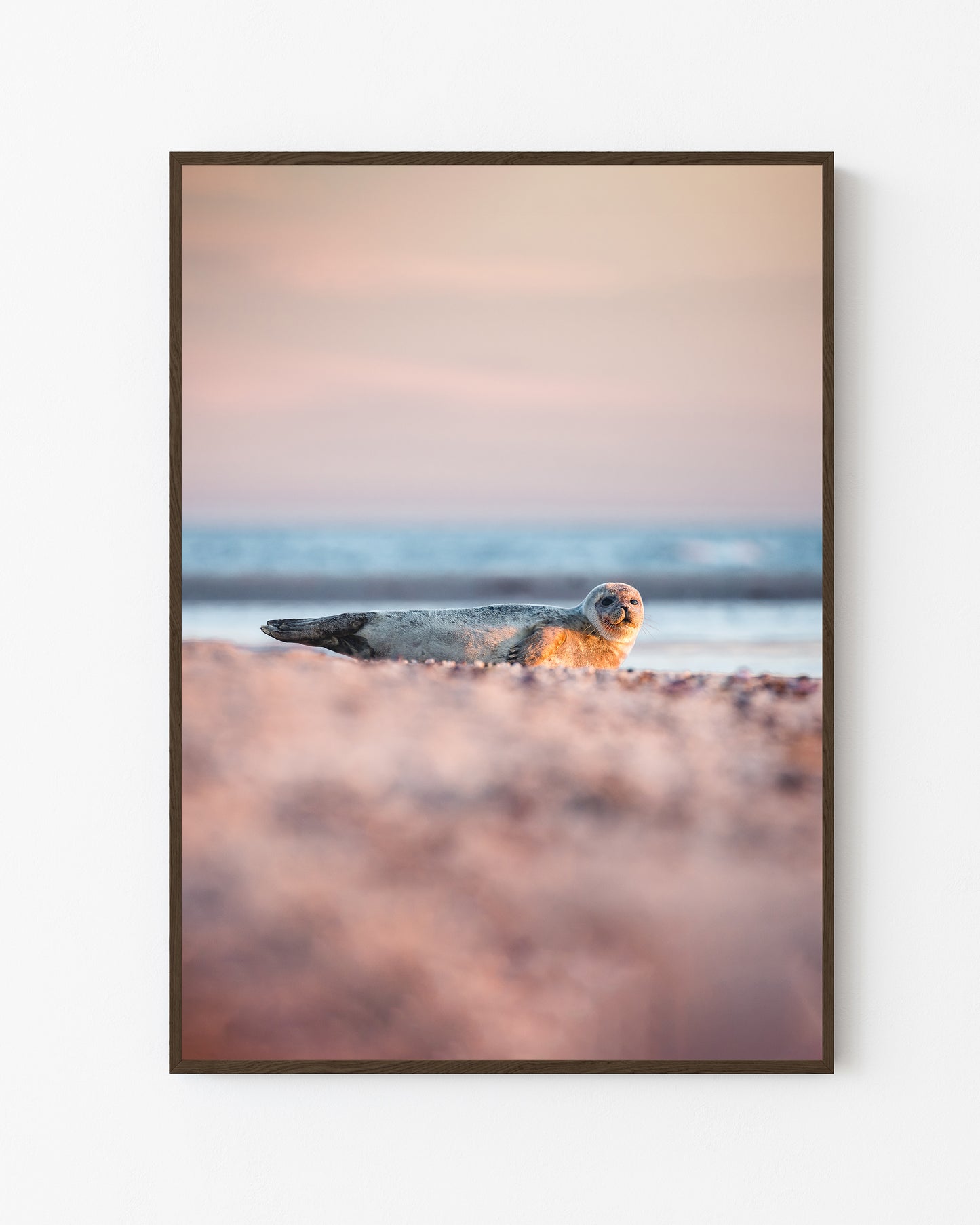 Seal, Grenen