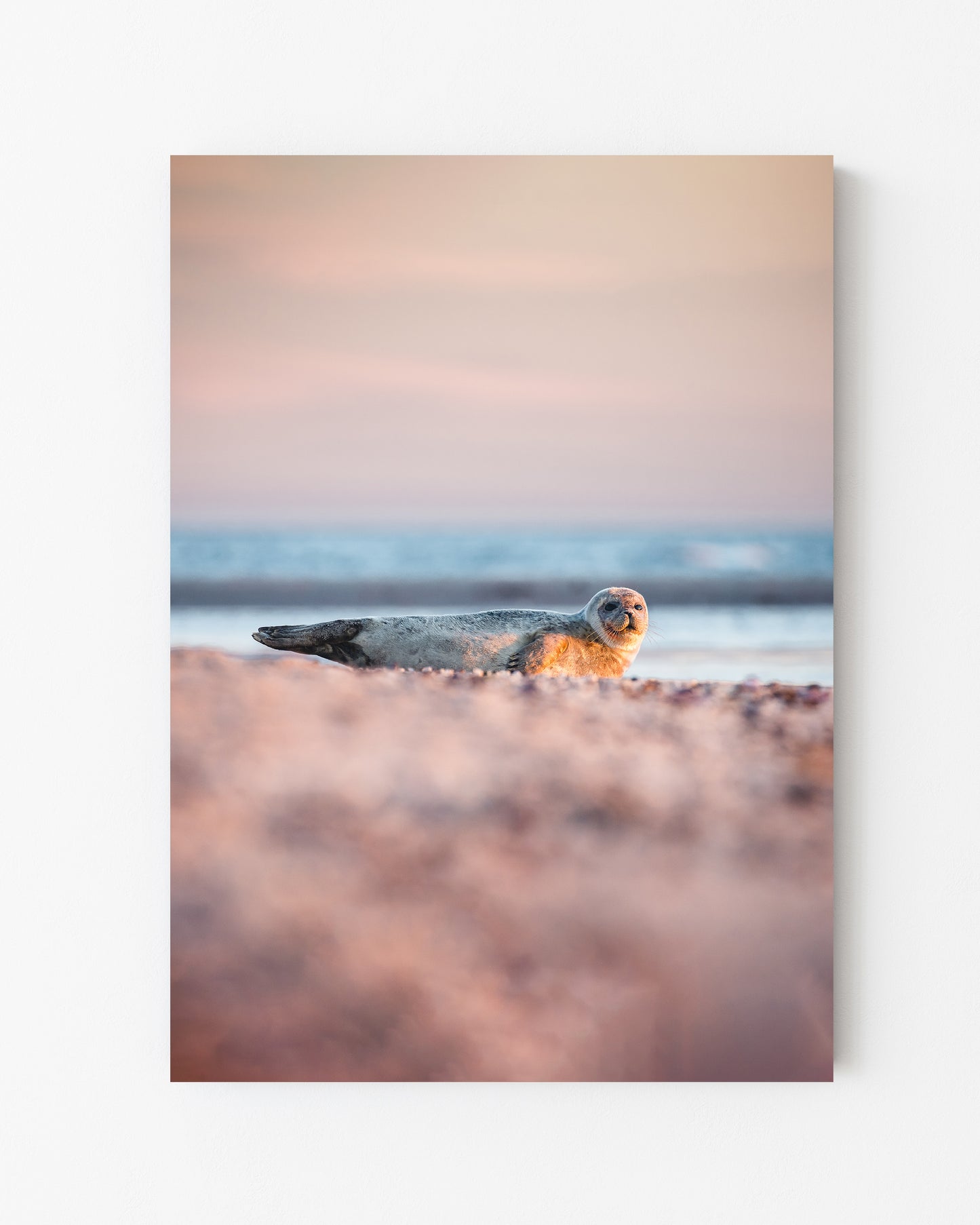 Seal, Grenen