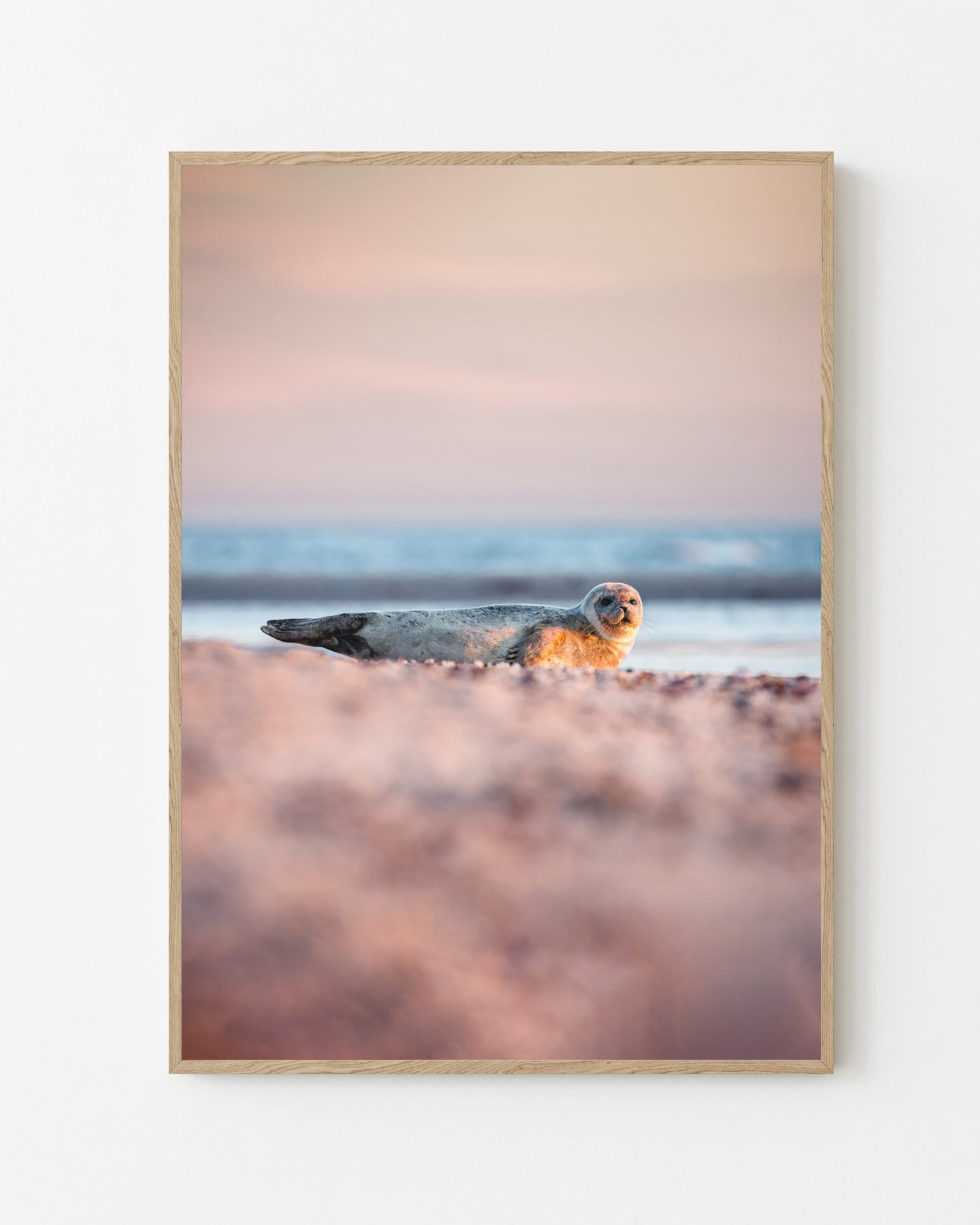 Seal, Grenen