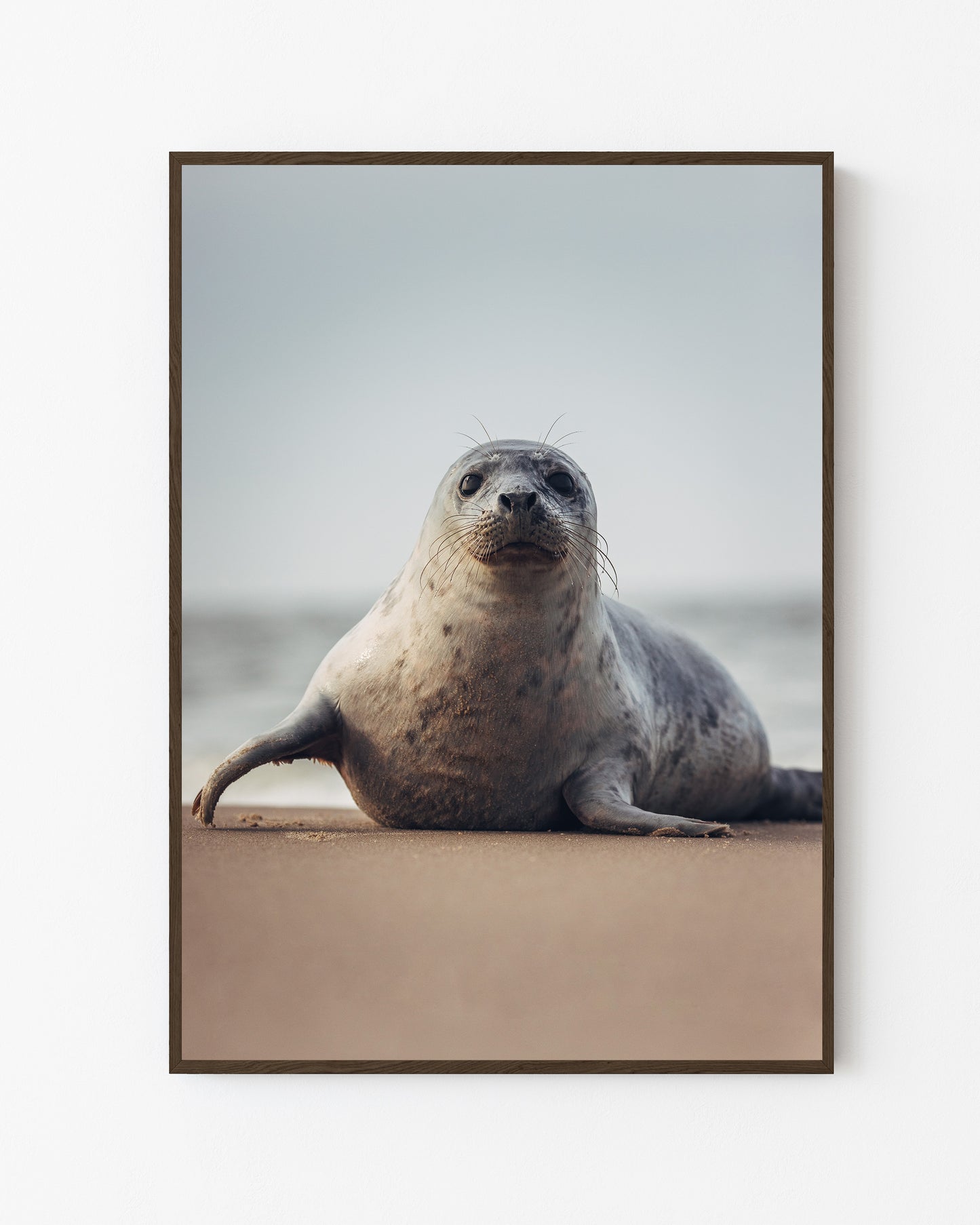Seaside Visitor, Grenen