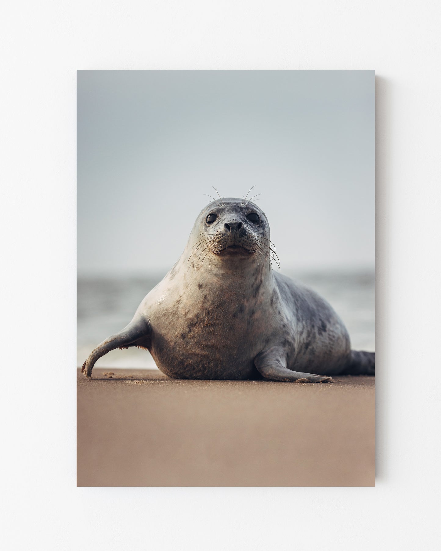 Seaside Visitor, Grenen