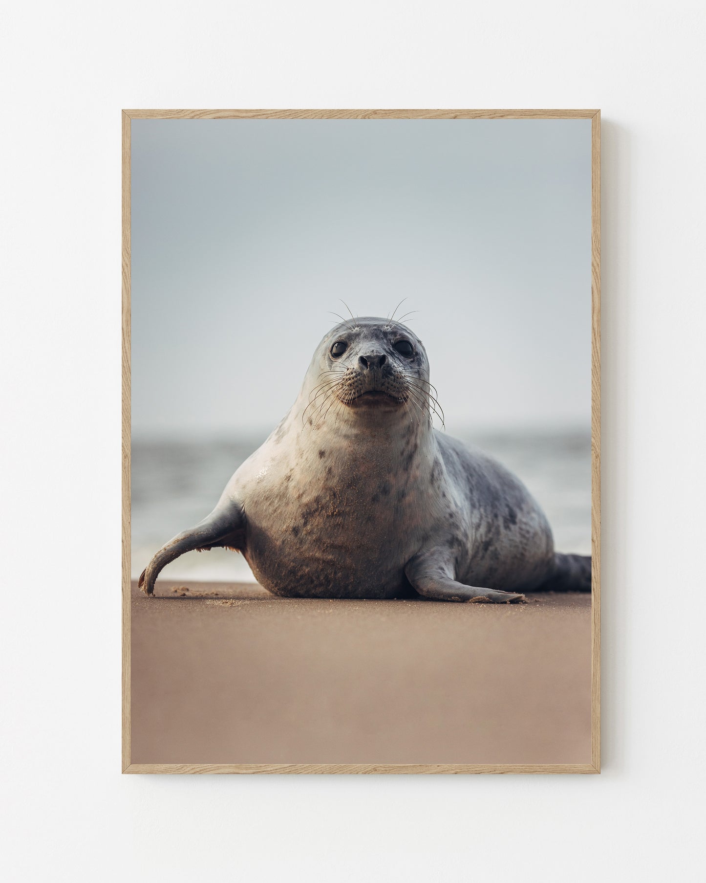 Seaside Visitor, Grenen