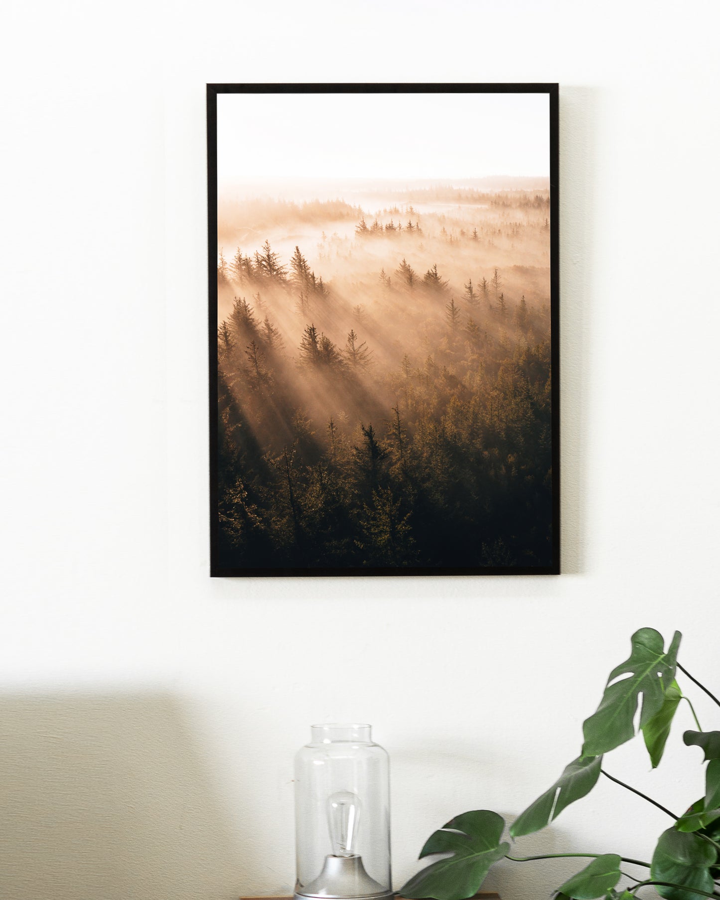 Misty Forest, Thy