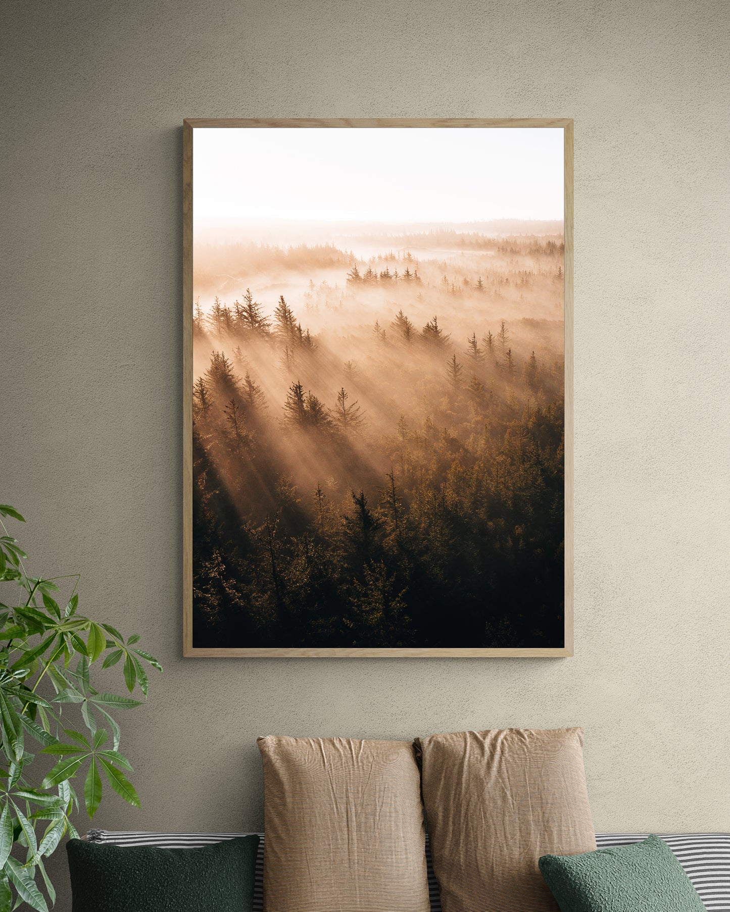 Misty Forest, Thy