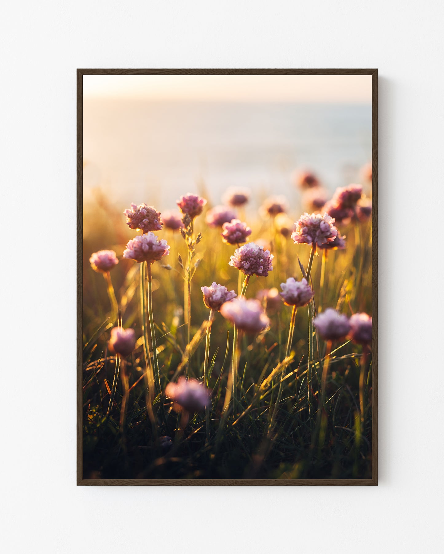 Coastal Blooms