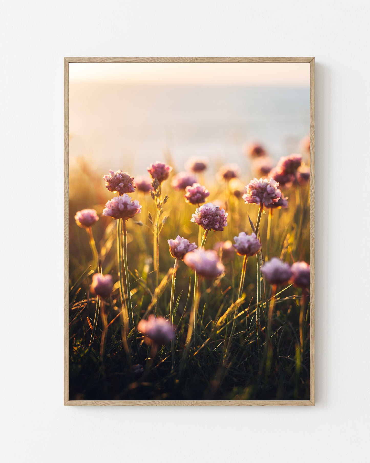 Coastal Blooms