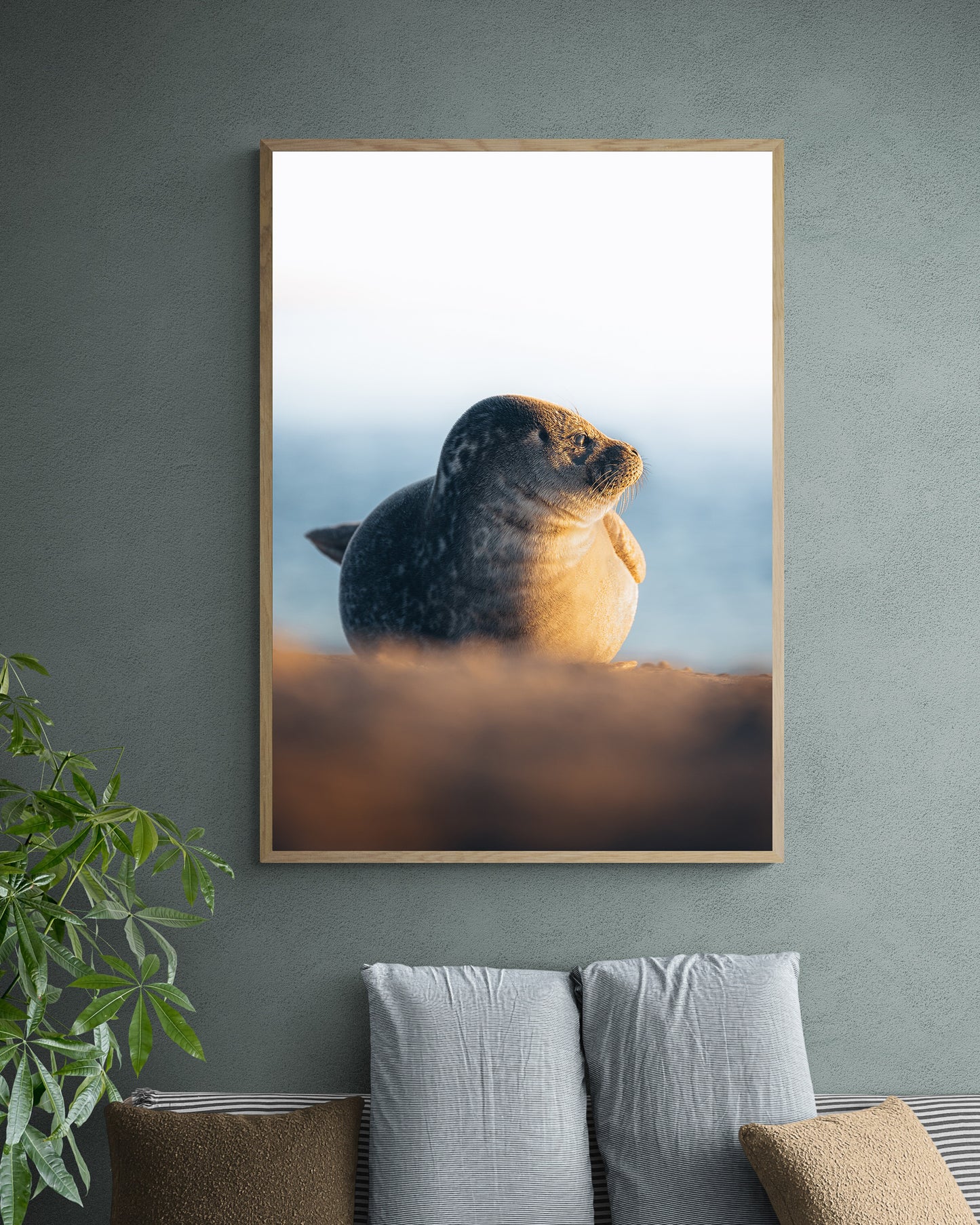 Coastal Coziness, Grenen