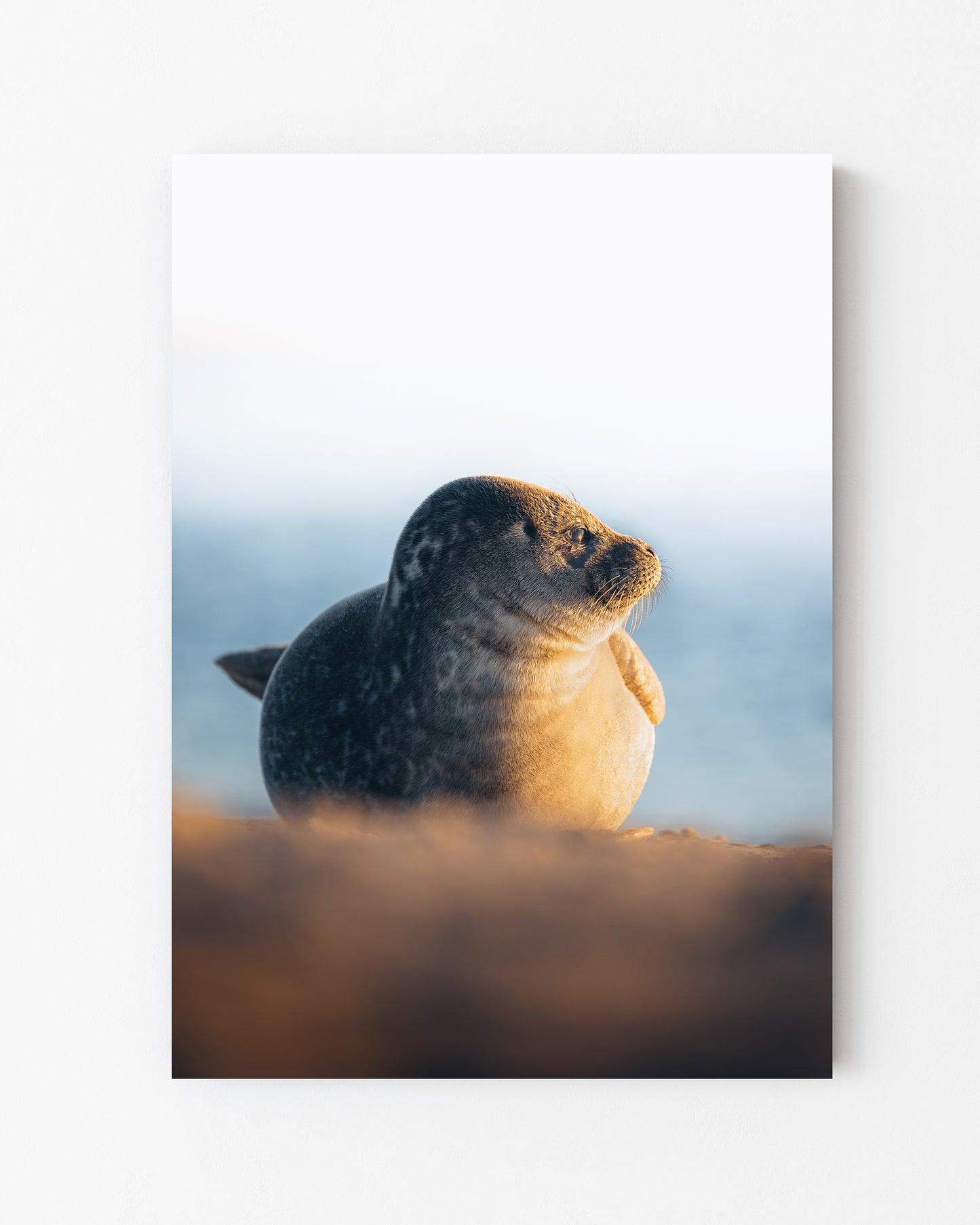 Coastal Coziness, Grenen