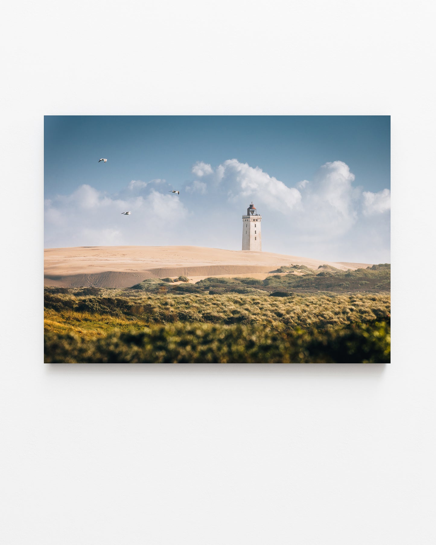 Rubjerg Knude Lighthouse, Summer II