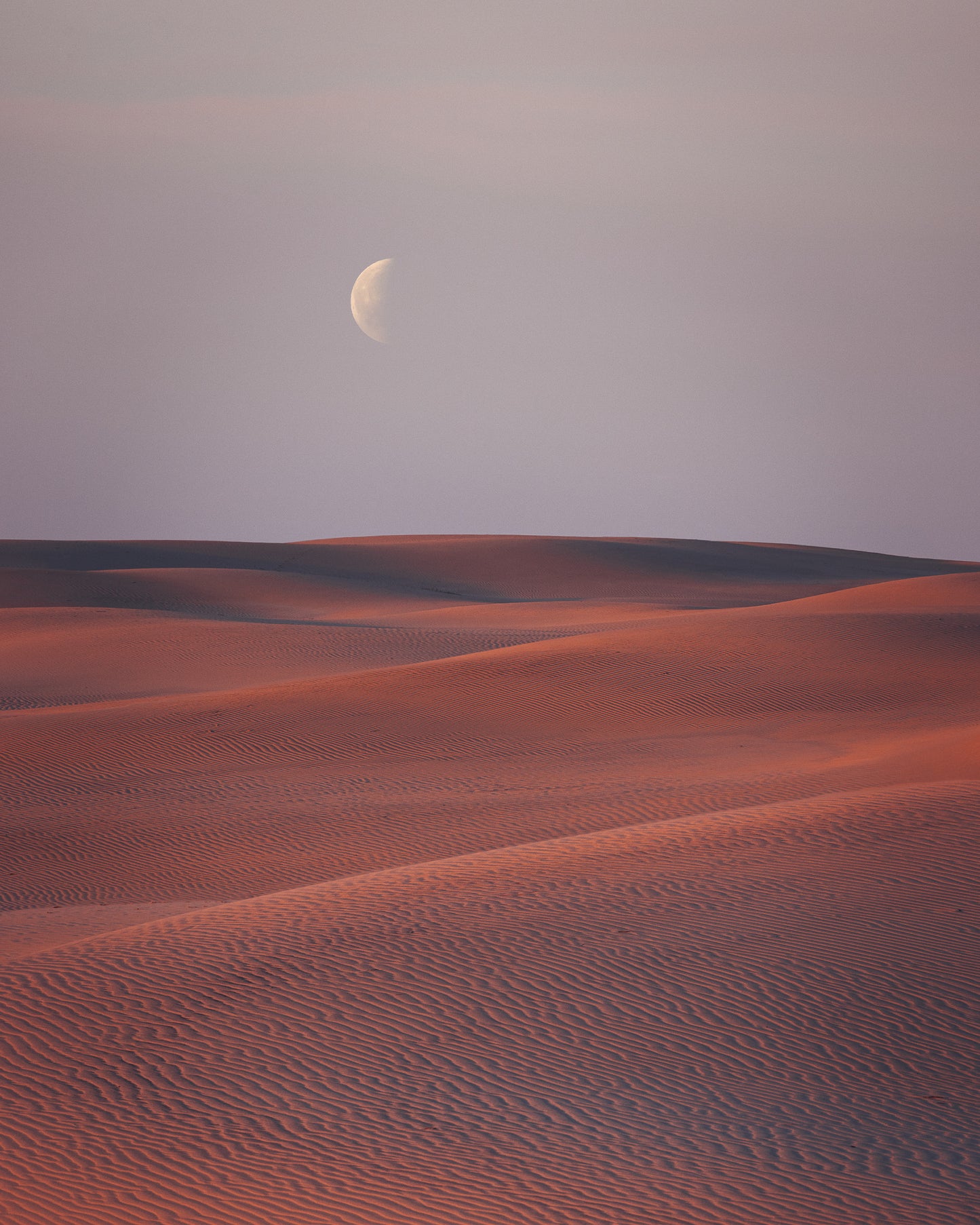 Råbjerg Mile at Moonrise