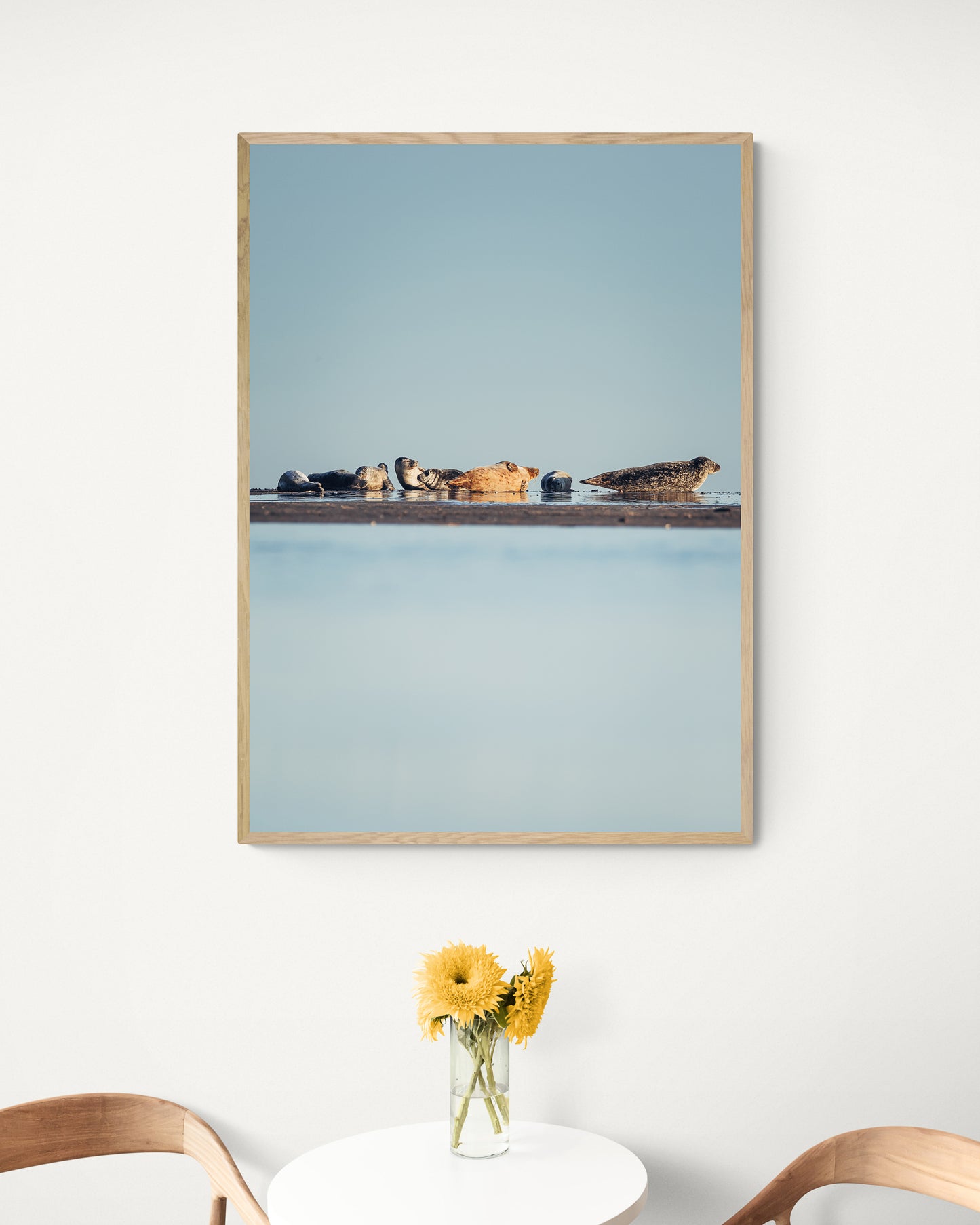 Seals at Rest, Skagen