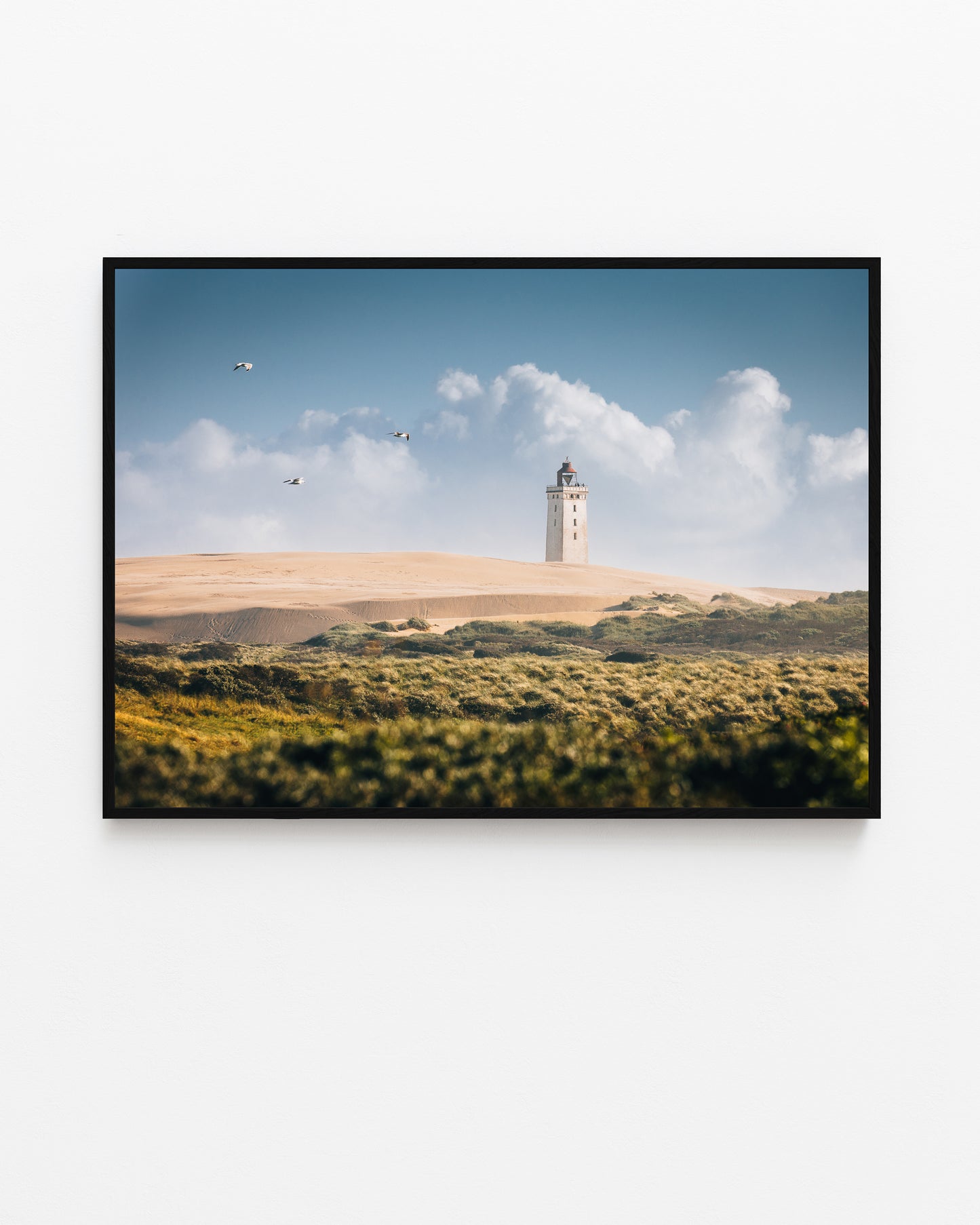 Rubjerg Knude Lighthouse, Summer II